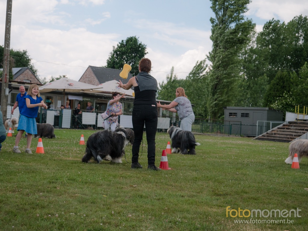 Fotomoment (c) Thierry Botten