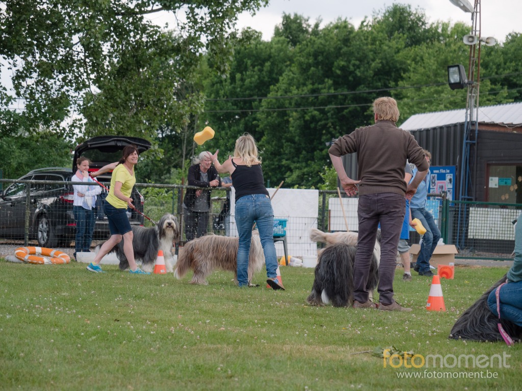 Fotomoment (c) Thierry Botten