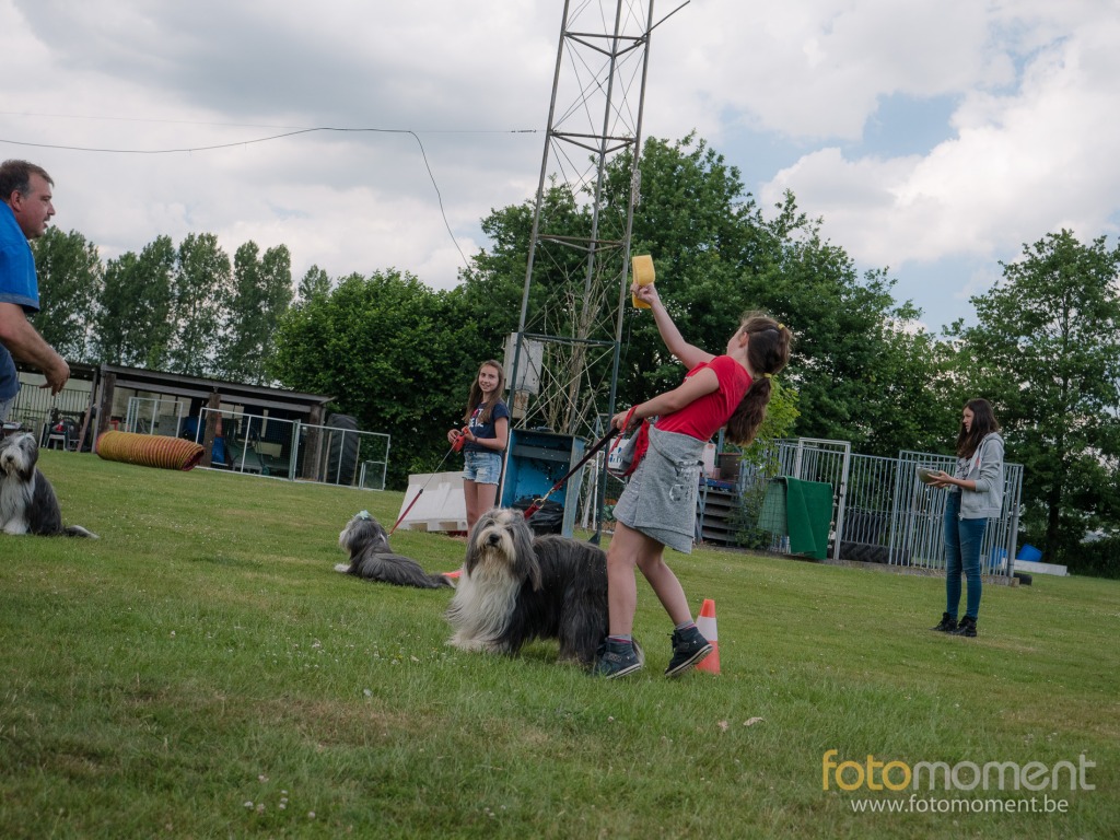 Fotomoment (c) Thierry Botten