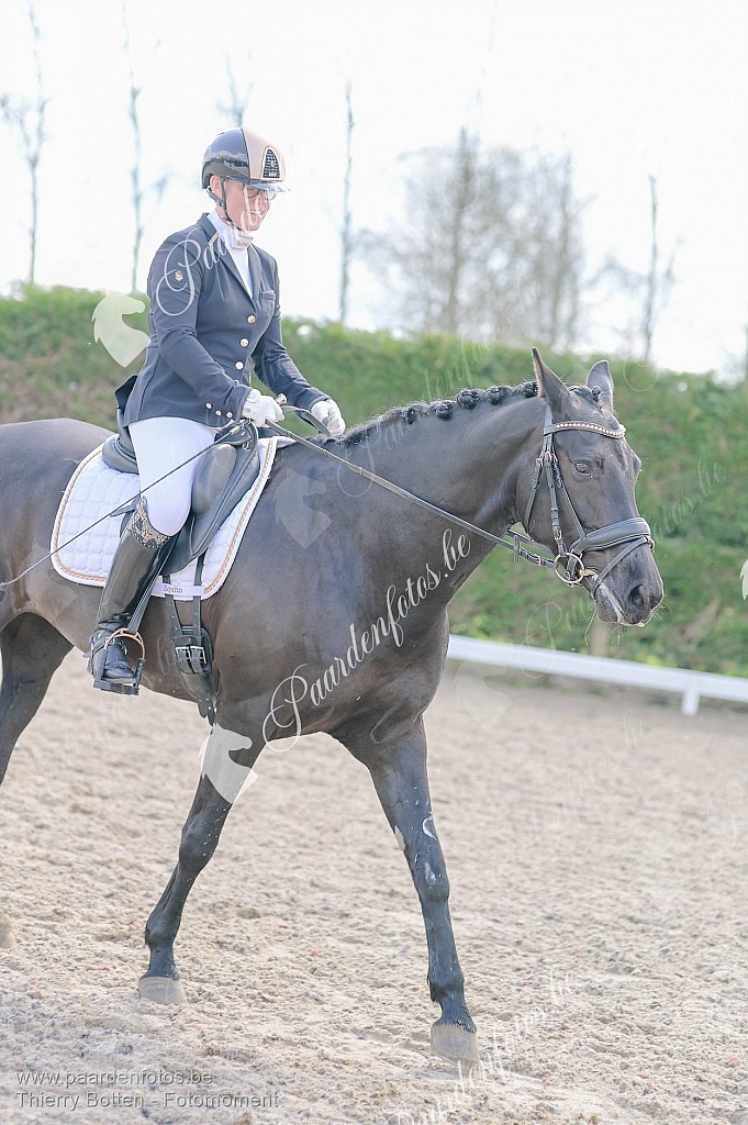 Photographe Fotograaf Equestre Paardenfotograaf Paardenfotos