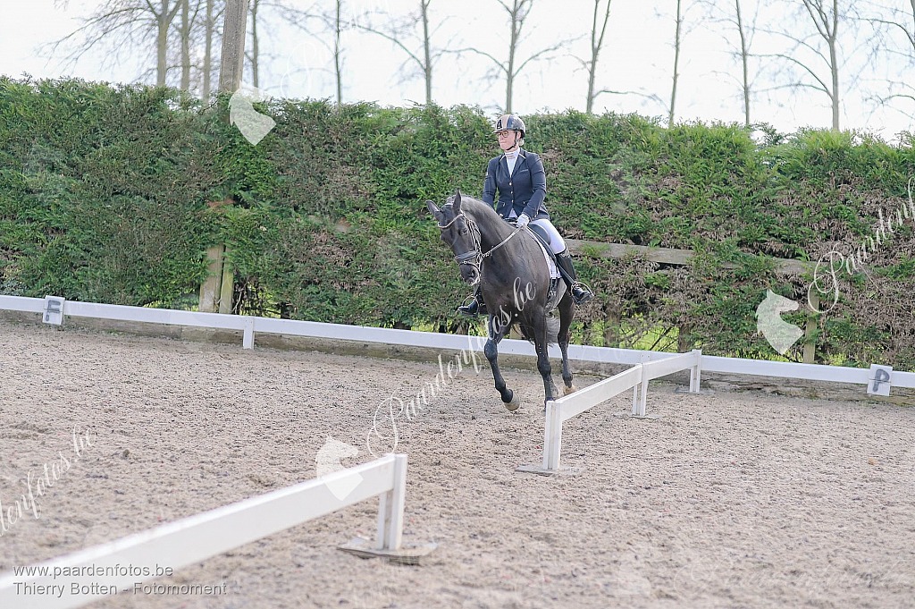 Photographe Fotograaf Equestre Paardenfotograaf Paardenfotos