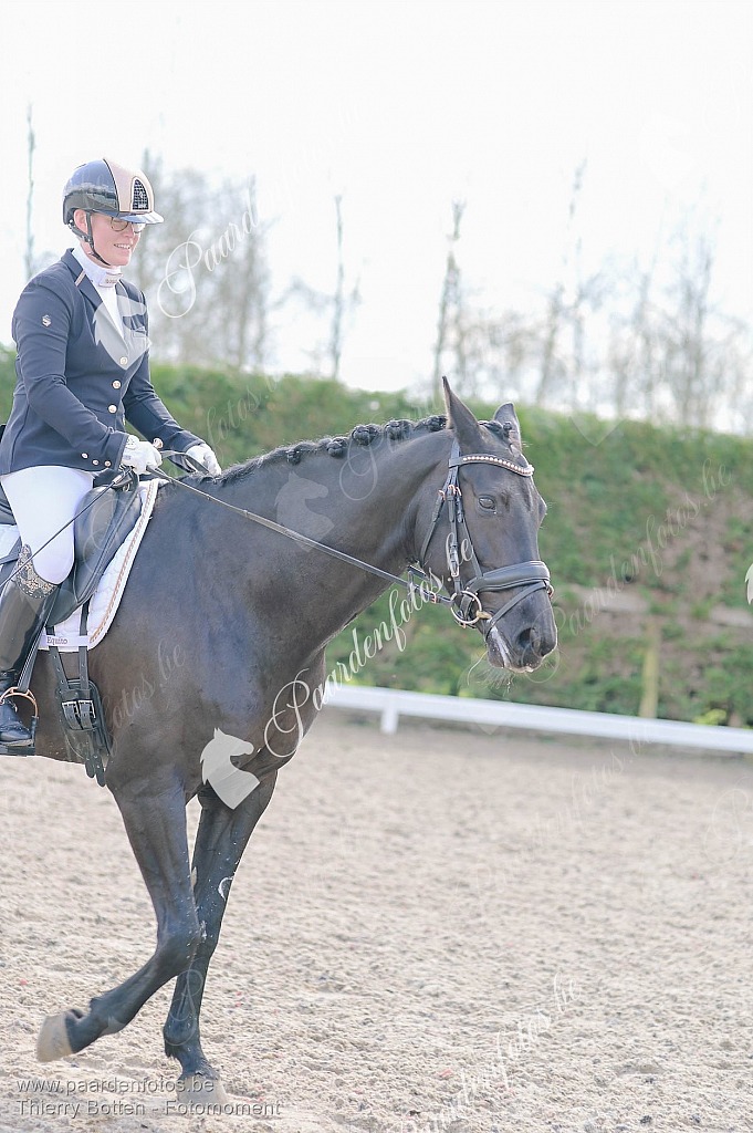 Photographe Fotograaf Equestre Paardenfotograaf Paardenfotos